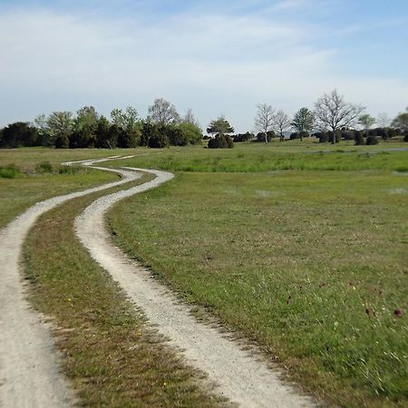 1A, Stuga Med 50M Till Strand Villa Byxelkrok Exterior foto