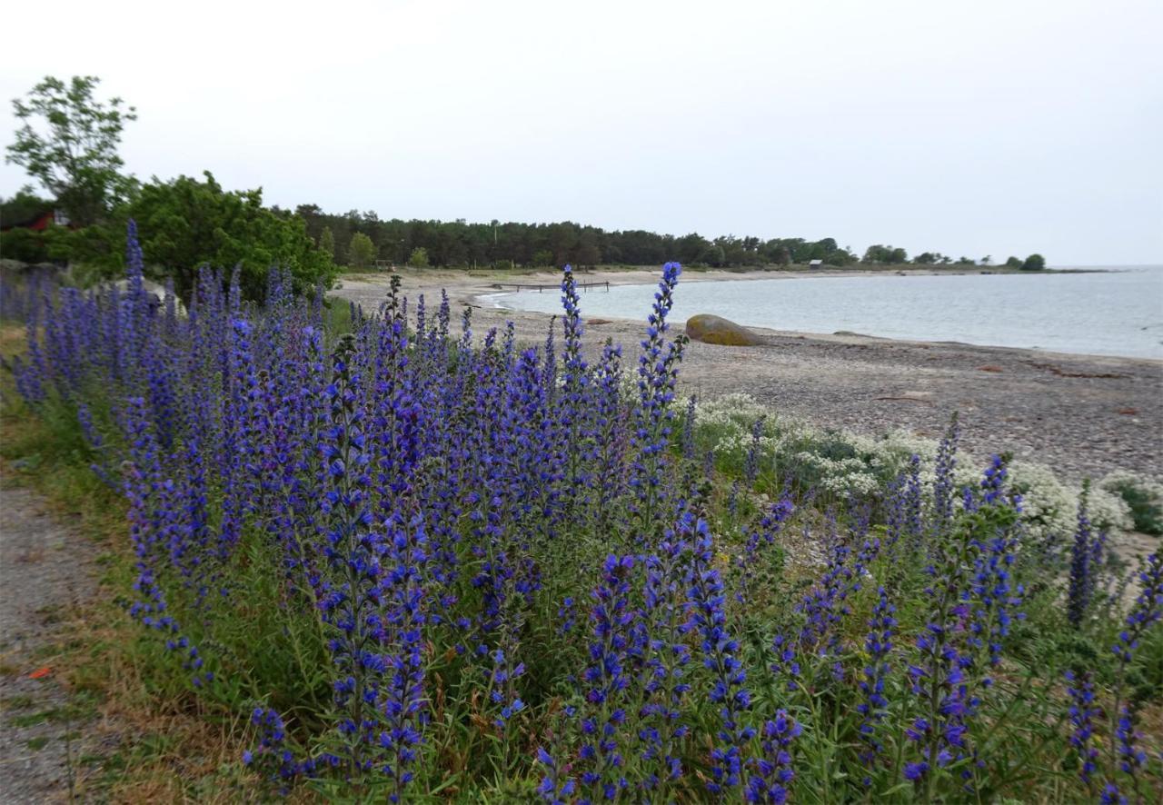 1A, Stuga Med 50M Till Strand Villa Byxelkrok Exterior foto